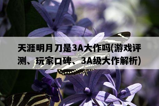 天涯明月刀是3A大作嗎，游戲評測、玩家口碑、3A級大作解析-圖1