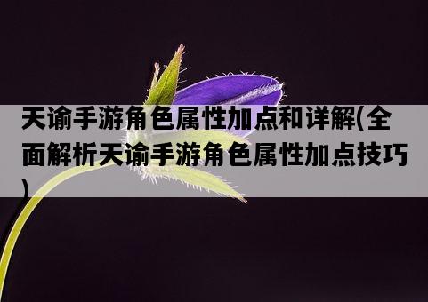 天諭手游角色屬性加點和詳解,全面解析天諭手游角色屬性加點技巧-圖1 天諭手游角色屬性加點和詳解,全面解析天諭手游角色屬性加點技巧-圖1