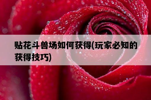 貼花斗獸場如何獲得，玩家必知的獲得技巧-圖1