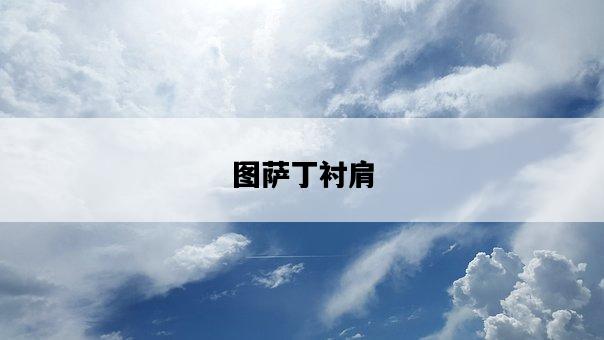 圖薩丁襯肩-圖1