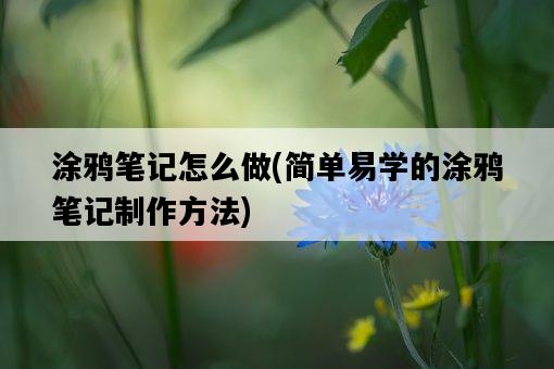 涂鴉筆記怎么做，簡單易學的涂鴉筆記制作方法-圖1