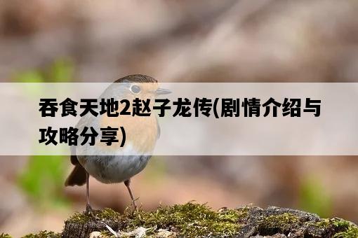 吞食天地2趙子龍傳，劇情介紹與攻略分享-圖1