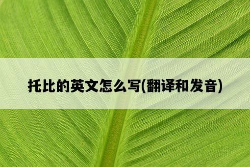 托比的英文怎么寫，翻譯和發音-圖1