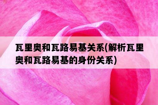 瓦里奧和瓦路易基關系，解析瓦里奧和瓦路易基的身份關系-圖1