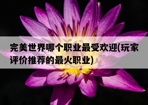 完美世界哪個職業最受歡迎，玩家評價推薦的最火職業-圖1