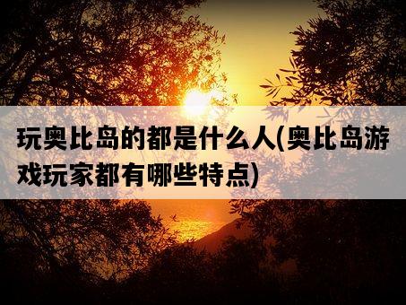 玩奧比島的都是什么人，奧比島游戲玩家都有哪些特點-圖1