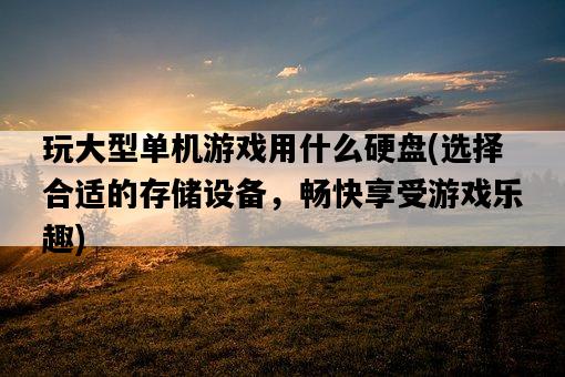 玩大型單機游戲用什么硬盤，選擇合適的存儲設備，暢快享受游戲樂趣-圖1