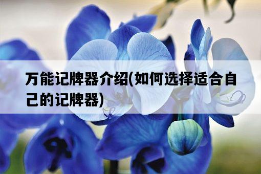 萬能記牌器介紹，如何選擇適合自己的記牌器-圖1