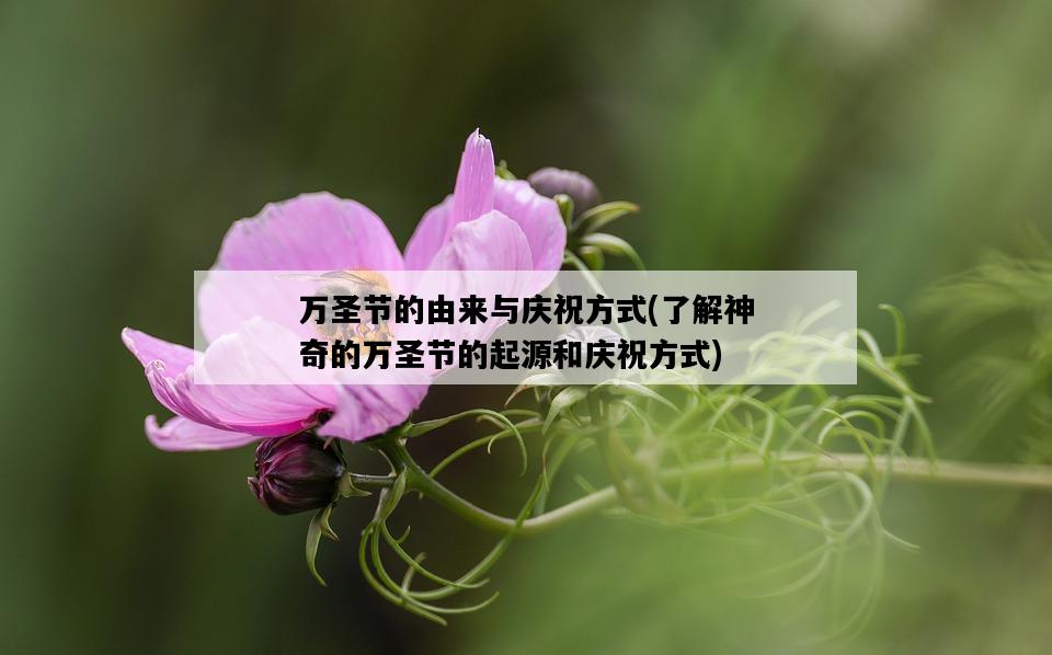 萬圣節的由來與慶祝方式，了解神奇的萬圣節的起源和慶祝方式-圖1