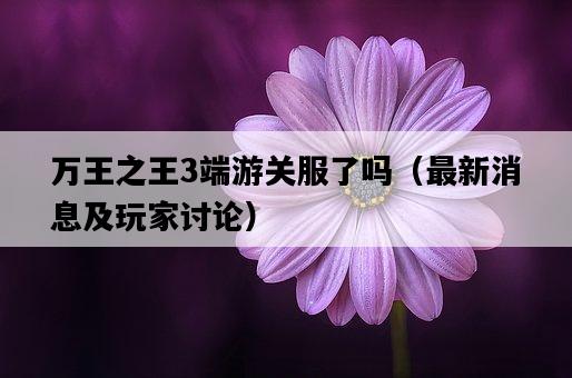 萬王之王3端游關服了嗎（最新消息及玩家討論）-圖1