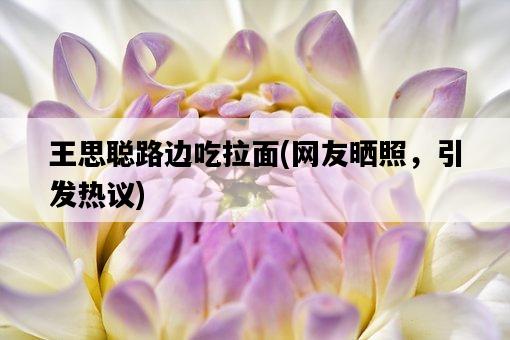 王思聰路邊吃拉面，網友曬照，引發熱議-圖1