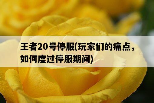 王者20號停服，玩家們的痛點，如何度過停服期間-圖1