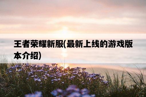 王者榮耀新服，最新上線的游戲版本介紹-圖1