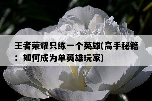 王者榮耀只練一個英雄，高手秘籍：如何成為單英雄玩家-圖1