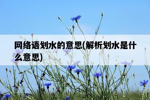 網絡語劃水的意思，解析劃水是什么意思-圖1