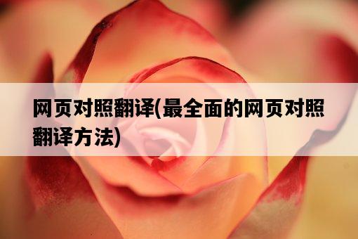 網頁對照翻譯，最全面的網頁對照翻譯方法-圖1