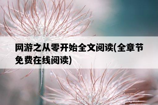 網游之從零開始全文閱讀，全章節免費在線閱讀-圖1
