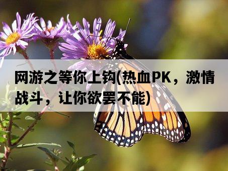 網游之等你上鉤，熱血PK，激情戰斗，讓你欲罷不能-圖1