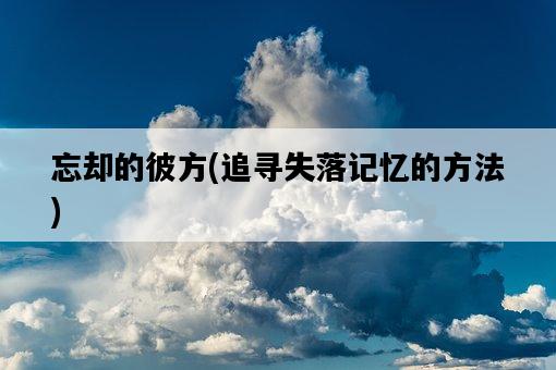 忘卻的彼方，追尋失落記憶的方法-圖1