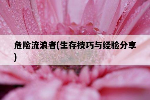 危險流浪者，生存技巧與經驗分享-圖1