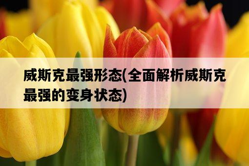 威斯克最強形態，全面解析威斯克最強的變身狀態-圖1
