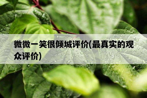 微微一笑很傾城評價,最真實的觀眾評價-圖1 微微一笑很傾城評價,最真實的觀眾評價-圖1