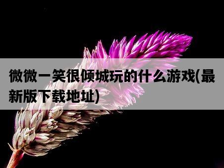 微微一笑很傾城玩的什么游戲，最新版下載地址-圖1