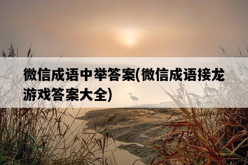 微信成語中舉答案，微信成語接龍游戲答案大全-圖1