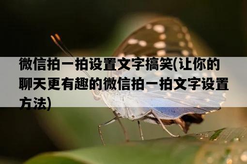 微信拍一拍設置文字搞笑，讓你的聊天更有趣的微信拍一拍文字設置方法-圖1