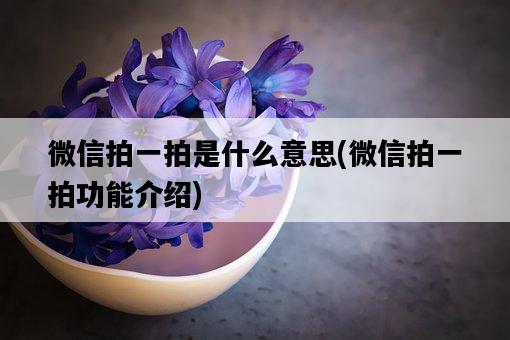 微信拍一拍是什么意思，微信拍一拍功能介紹-圖1