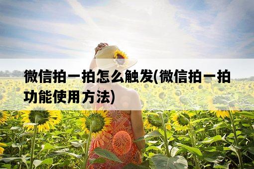 微信拍一拍怎么觸發，微信拍一拍功能使用方法-圖1