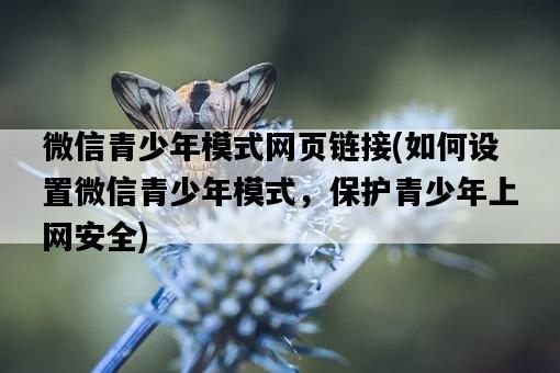 微信青少年模式網頁鏈接，如何設置微信青少年模式，保護青少年上網安全-圖1