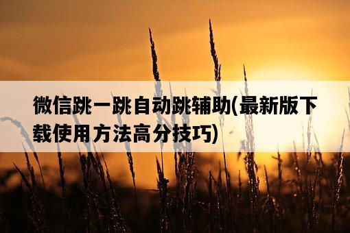 微信跳一跳自動跳輔助，最新版下載使用方法高分技巧-圖1