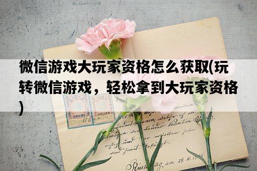 微信游戲大玩家資格怎么獲取，玩轉微信游戲，輕松拿到大玩家資格-圖1