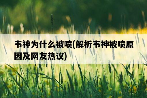韋神為什么被噴,解析韋神被噴原因及網友熱議-圖1 韋神為什么被噴,解析韋神被噴原因及網友熱議-圖1