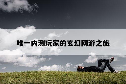 唯一內測玩家的玄幻網游之旅-圖1 唯一內測玩家的玄幻網游之旅-圖1