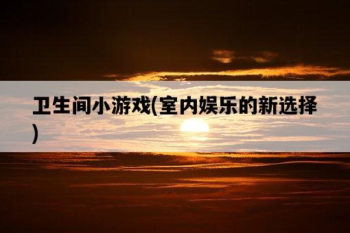 衛生間小游戲，室內娛樂的新選擇-圖1