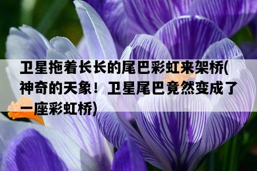 衛星拖著長長的尾巴彩虹來架橋，神奇的天象！衛星尾巴竟然變成了一座彩虹橋-圖1