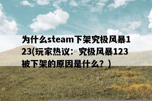 為什么steam下架究極風暴123，玩家熱議：究極風暴123被下架的原因是什么？-圖1