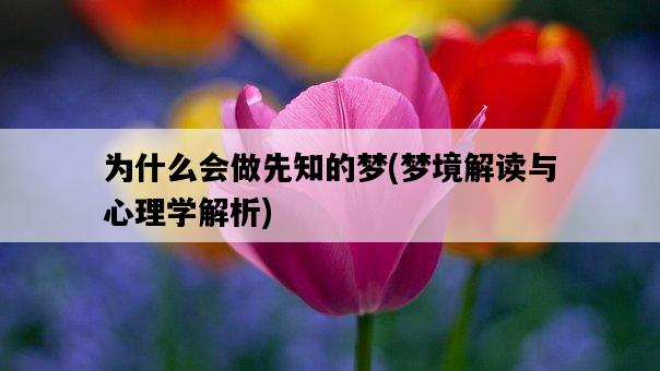 為什么會做先知的夢，夢境解讀與心理學解析-圖1