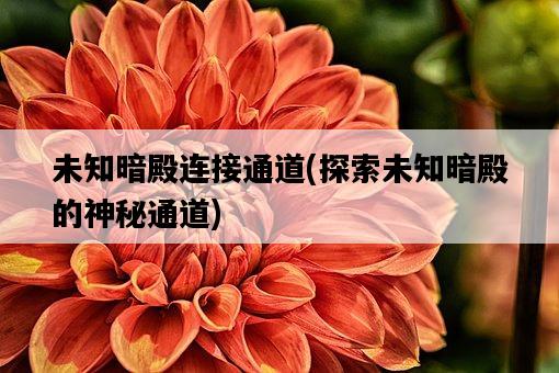 未知暗殿連接通道，探索未知暗殿的神秘通道-圖1