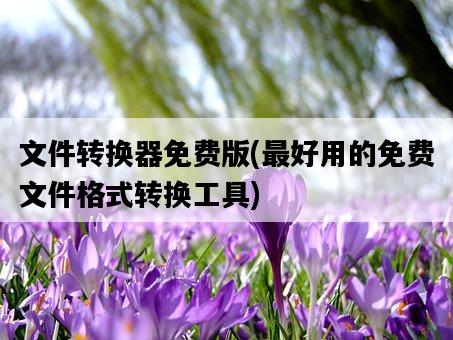 文件轉換器免費版，最好用的免費文件格式轉換工具-圖1