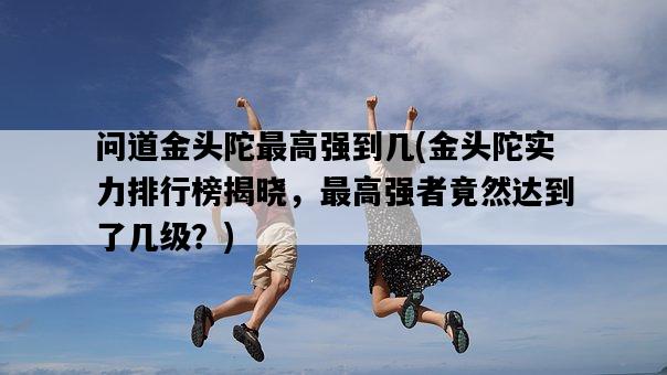 問道金頭陀最高強到幾，金頭陀實力排行榜揭曉，最高強者竟然達到了幾級？-圖1