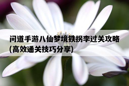 問道手游八仙夢境鐵拐李過關攻略，高效通關技巧分享-圖1