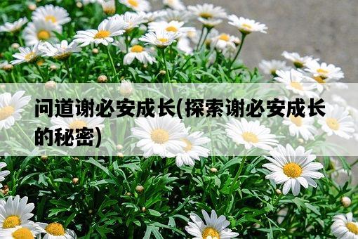 問道謝必安成長，探索謝必安成長的秘密-圖1