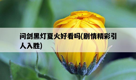 問劍黑燈夏火好看嗎，劇情精彩引人入勝-圖1