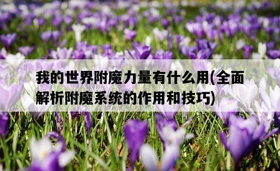 我的世界附魔力量有什么用,全面解析附魔系統的作用和技巧-圖1 我的世界附魔力量有什么用,全面解析附魔系統的作用和技巧-圖1