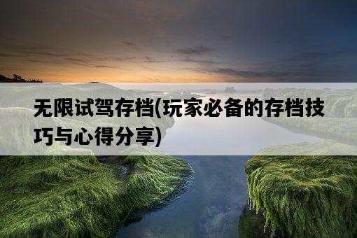 無限試駕存檔，玩家必備的存檔技巧與心得分享-圖1