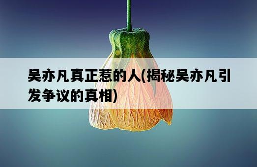 吳亦凡真正惹的人，揭秘吳亦凡引發爭議的真相-圖1
