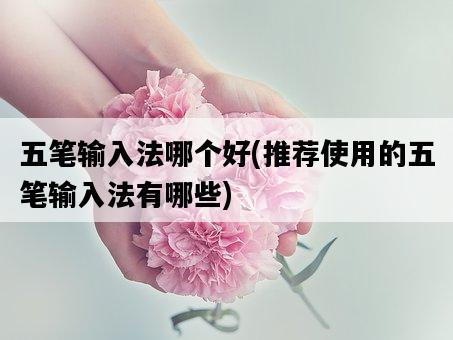 五筆輸入法哪個好,推薦使用的五筆輸入法有哪些-圖1 五筆輸入法哪個好,推薦使用的五筆輸入法有哪些-圖1